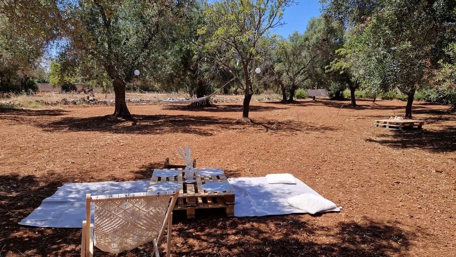 Ostuni: San Vito dei Normani: Organic Picnic in Olive Grove - Shade, hammocks, and the Boho setup