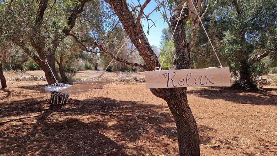 Ostuni: San Vito dei Normani: Organic Picnic in Olive Grove - What is not included at $88