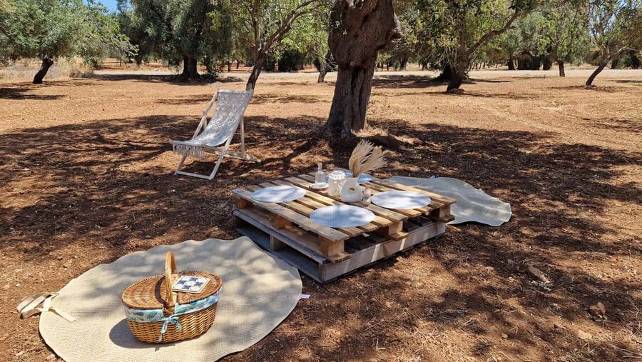 Ostuni: San Vito dei Normani: Organic Picnic in Olive Grove - What the three hours are meant to feel like