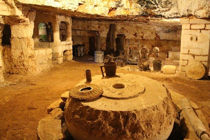 Ostuni : Tasting of Extra Virgin Olive Oil in Masseria - Inside the old underground oil mill