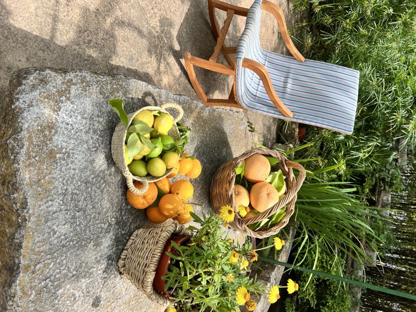 Palma: Orange Farm, Olive Mill, & Winery Tour with Tastings - Key points to know before booking