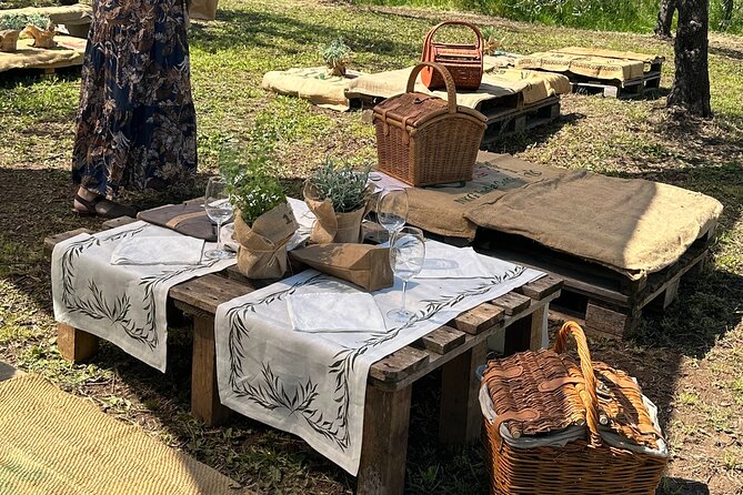 Picnic among the Olive Trees and Tasting of Oil and Local Flavors - A Tuscan picnic with olive oil at the center