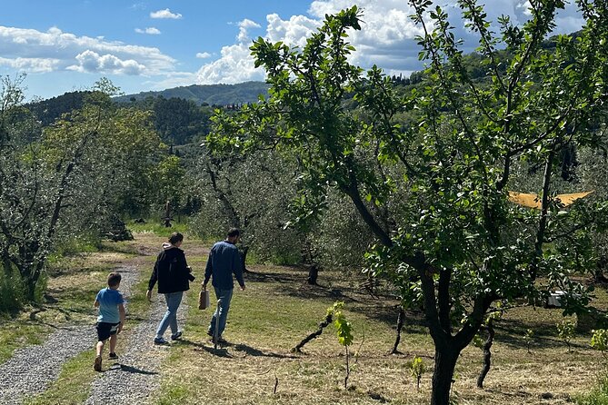 Picnic among the Olive Trees and Tasting of Oil and Local Flavors - Sitting beneath the olive trees