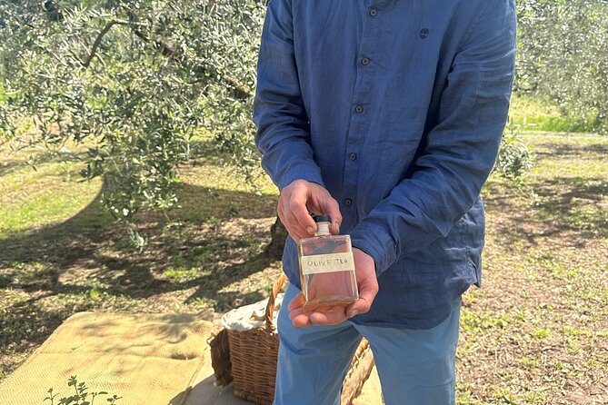 Picnic among the Olive Trees and Tasting of Oil and Local Flavors - Finding the best photo spots