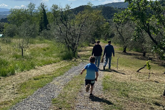 Picnic among the Olive Trees and Tasting of Oil and Local Flavors - A quiet ending with wine or olive-leaf tea