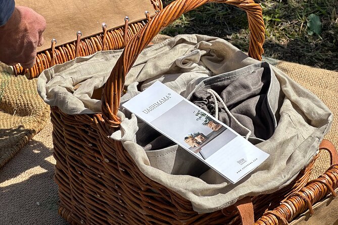 Picnic among the Olive Trees and Tasting of Oil and Local Flavors - Is the $90.70 price good value?