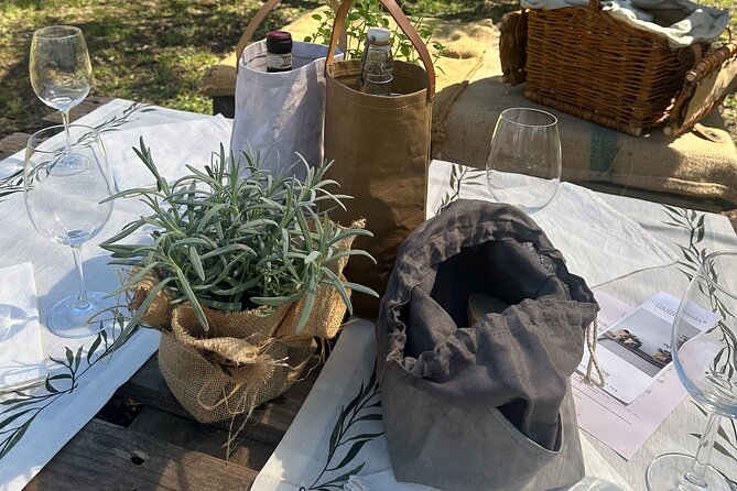 Picnic among the Olive Trees and Tasting of Oil and Local Flavors - Timing, weather, and practical details
