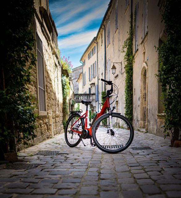Picnic in the middle of olive groves by e-bike - How much time should you allow?