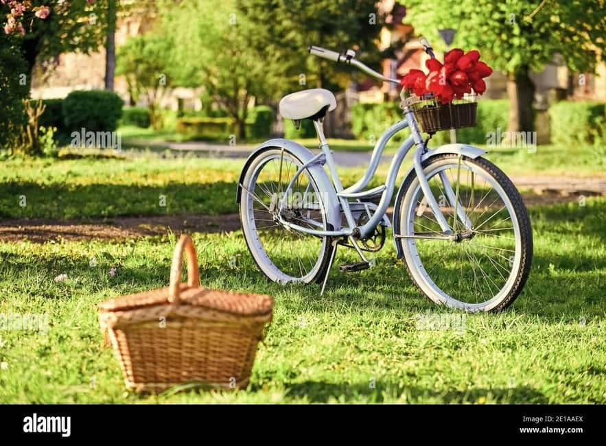 Picnic in the middle of olive groves by e-bike - Who will enjoy this ride most?