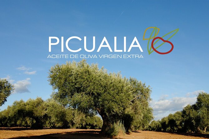 Picualia, olive oil mill tour & EVOO tasting - Key points about the Picualia visit
