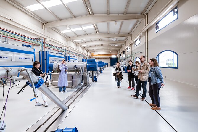 Picualia, olive oil mill tour & EVOO tasting - Starting with the Picual olive grove