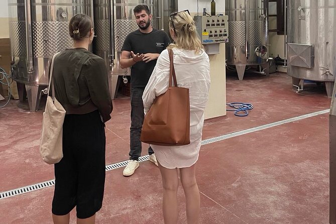 Premium Cretan Olive Oil Tasting, Wine, Raki and Local Food Tour - Stironas: raki, the kazani, and local snacks