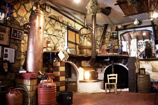 Premium Cretan Olive Oil Tasting, Wine, Raki and Local Food Tour - What the private vehicle adds to a five-hour day