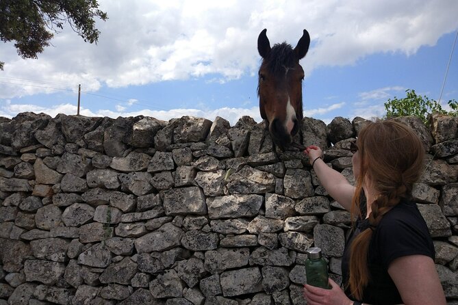 Private Bike Tour with Olive Oil Tasting - The value of a $138.18 private tour