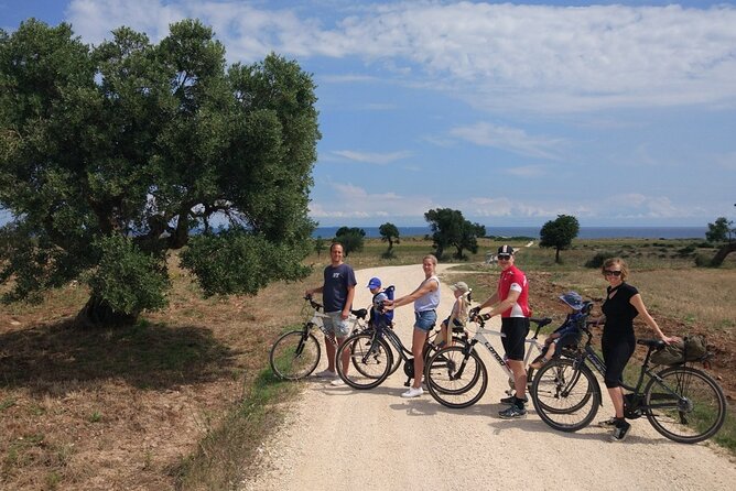 Private Bike Tour with Olive Oil Tasting - Who will enjoy this private ride
