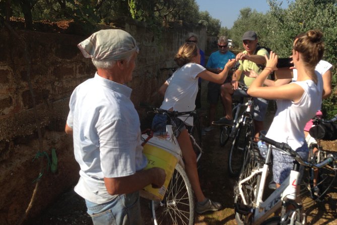 Private Bike Tour with Olive Oil Tasting - Booking advice for the best day