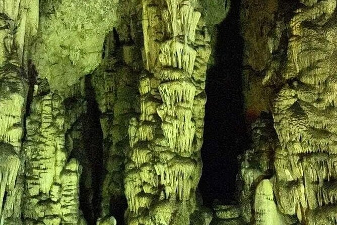 Private Guided Tour to Lasithi Plateau Villages & Olive Oil Mill - Krasi’s ancient plane tree