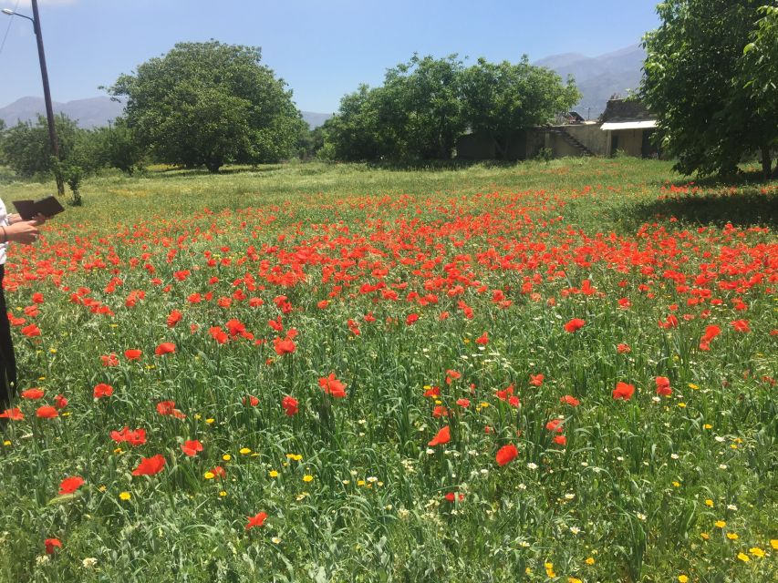 Private-Knossos Palace-Zeus -Villages-Olive Oil Factory - Zeus’s Birthplace and the Cave Closure