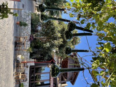Private-Knossos Palace-Zeus -Villages-Olive Oil Factory