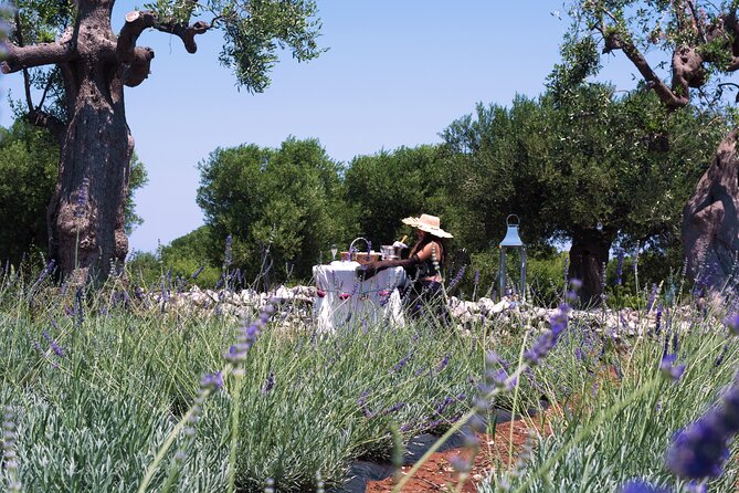 Private Olive Oil Tasting in Polignano a Mare - Meeting the olive trees and learning the family story