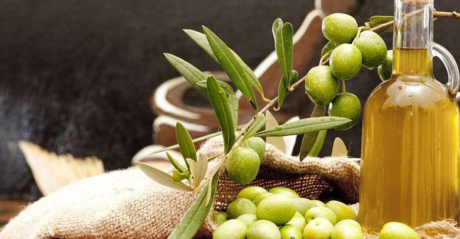 Private Olive Oil Tour & Tasting with Lunch from Katakolo - What the $124 Price Covers