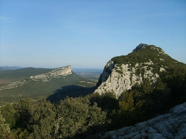 Private Pic Saint Loup Wine and Olive Tour from Montpellier - Key points to know before booking