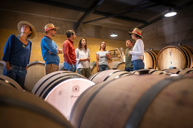 Private Pic Saint Loup Wine and Olive Tour from Montpellier - A short stop for Pic Saint-Loup views