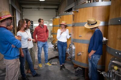 Private Pic Saint Loup Wine and Olive Tour from Montpellier
