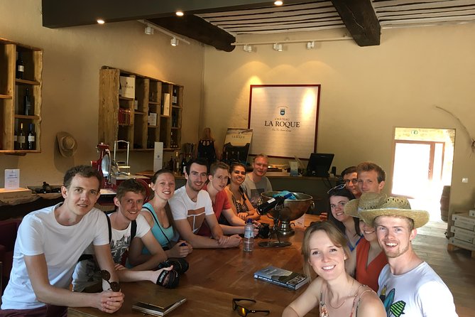 Private Pic Saint Loup Wine and Olive Tour from Montpellier - What the private format adds
