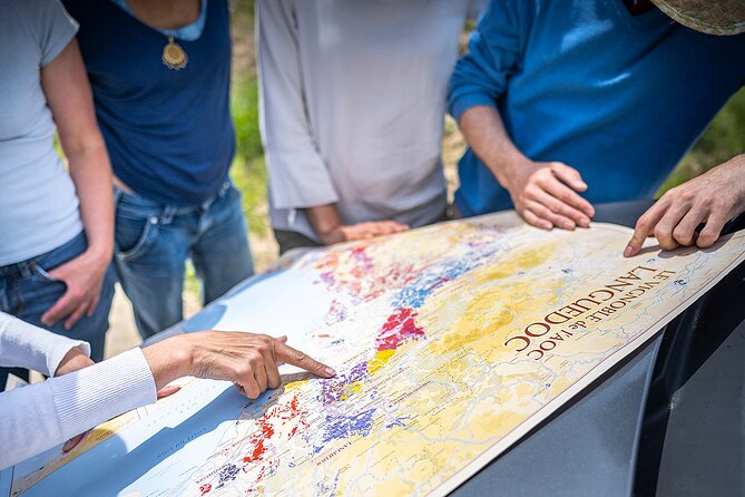 Private Pic Saint Loup Wine and Olive Tour from Montpellier - Is $504.67 per person fair?
