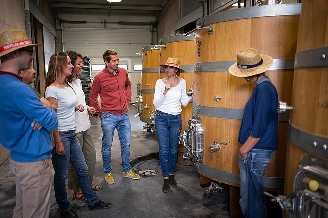 Private Pic Saint Loup Wine and Olive Tour from Montpellier - Château Puech Haut and the first winery visit