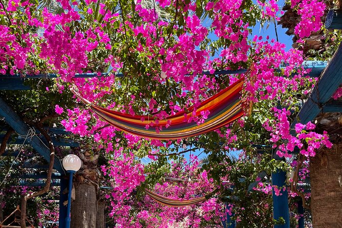 PRIVATE-South Crete-Matala Beach-Olive oil- Wine-Old Villages - Key points to know before booking