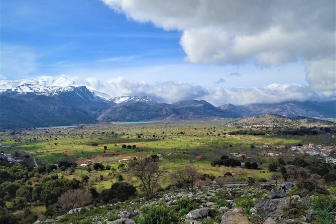 Private Tour-Authentic Villages of Lasithi Olive Oil and Wine - Krasi and the 2,400-year-old Platanus tree