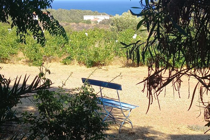 Private Tour: Discover the Secret World of Olives in Afantou - Why Afantou’s olive farm is worth your afternoon