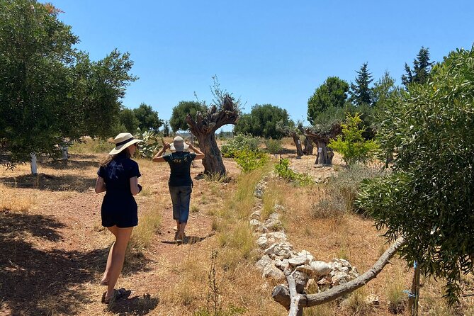 Private Tour: Discover the Secret World of Olives in Afantou - Souvenirs and recipes you can use at home
