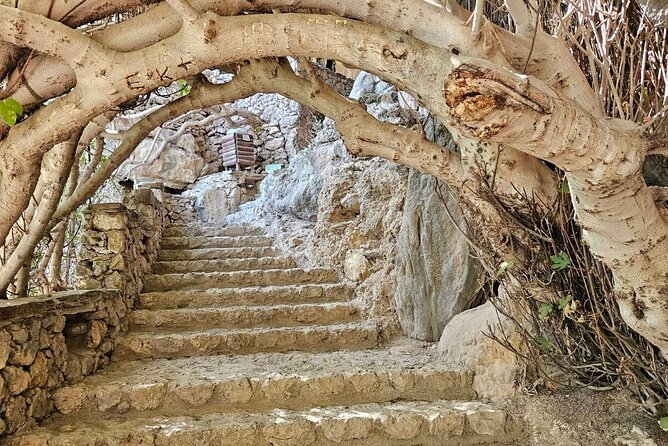 Private Tour Elafonisi Beach with Honey Olive Oil & Wine Tastings - Pnevmatikakis Winery closes the tasting circuit