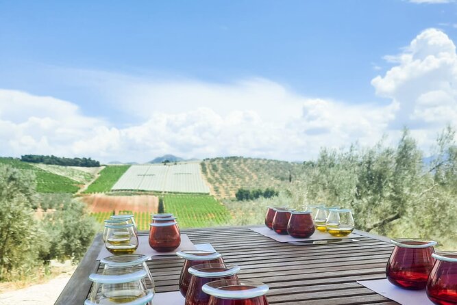 Private tour in Nafplio with Olive oil Tasting Tour in Corinth - Two hours in Nafplio