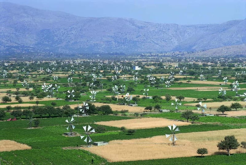 Private Tour, Olive Mill, Scotino Cave, Lasithi Plateau H/D - Why this half-day route works so well