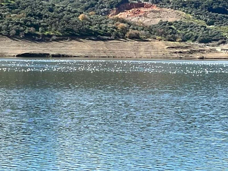 Private Tour, Olive Mill, Scotino Cave, Lasithi Plateau H/D - What the $194 price really buys you