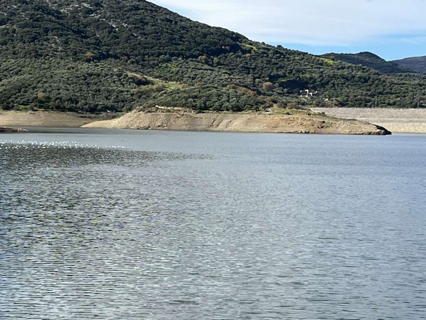 Private Tour, Olive Mill, Scotino Cave, Lasithi Plateau H/D - Your guide, vehicle, and pace