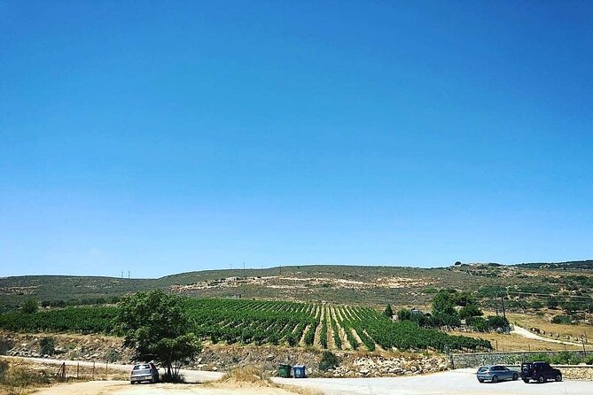Private Tour: Soap, Olive Oil & Lyrarakis Winery with Lunch - Who will enjoy this outing most?