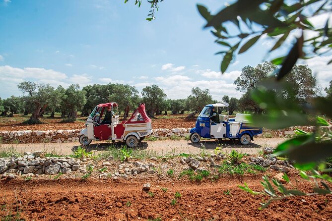 Private Tuk Tuk Tour of the Millenary Olive Groves in Ostuni - Key points to know before booking