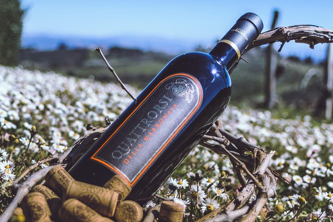 Private Wine and Extra Virgin Olive Oil Tasting - Who should book this experience