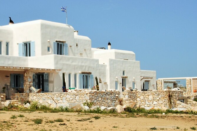 Private Wine & Olives Tasting Experience: Beach View Villa Paros - What the private format means