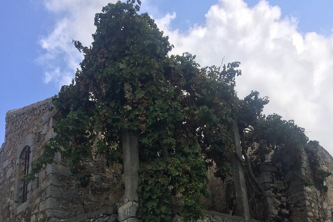 PRIVATE-Winery+Olive Oil Factory-Old Villages-Old Wind Mills - Who will enjoy this day most