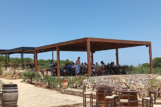 Private Winery Tour with Olive Oil, Honey & Raki Distillery Visit - The optional Domaine Paterianakis wine visit