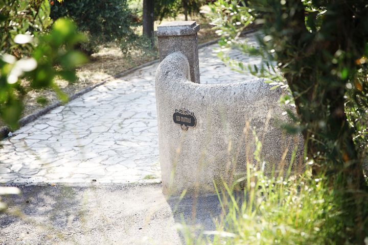 Provence Olive Harvest - Key points to know before you book