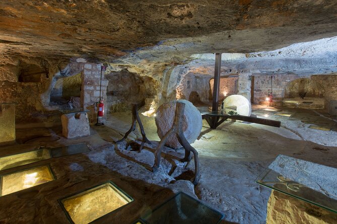 Puglia Olive Oil Tasting Experience with Olive Grove Walk - Key points to know before you book
