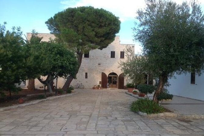 Puglia Olive Oil Tasting Experience with Olive Grove Walk - The private format and guide