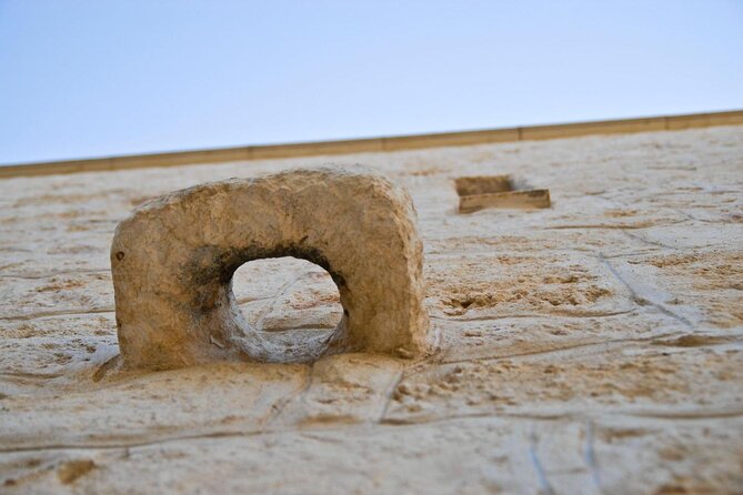 Puglia Olive Oil Tasting Experience with Olive Grove Walk - Meeting at Masseria Valente